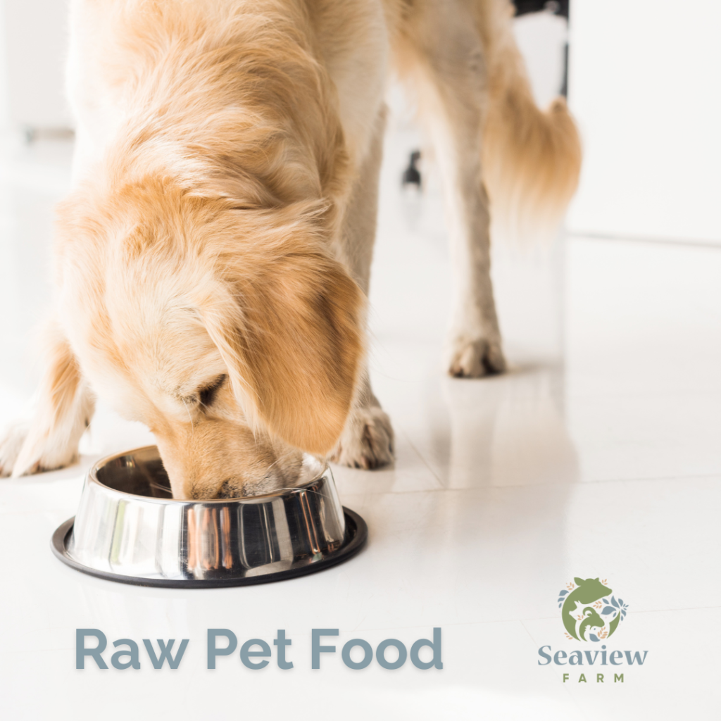 Image of a dog eating raw pet food.